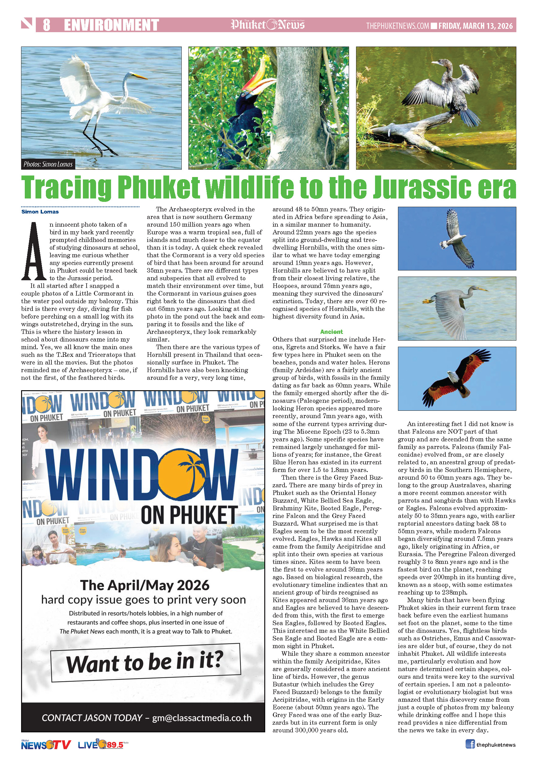 Phuket Newspaper - 13-03-2026 Page 8