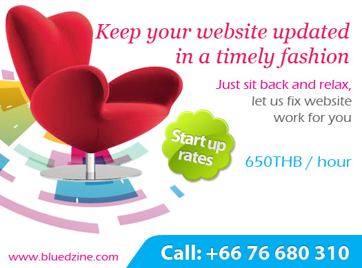 Website Update Service