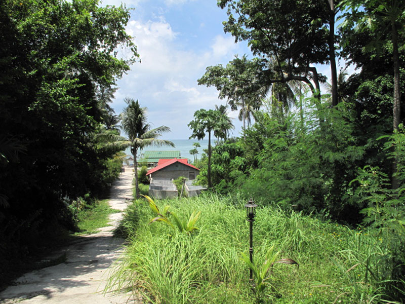 CAPE PANWA LAND FOR RENT + RES