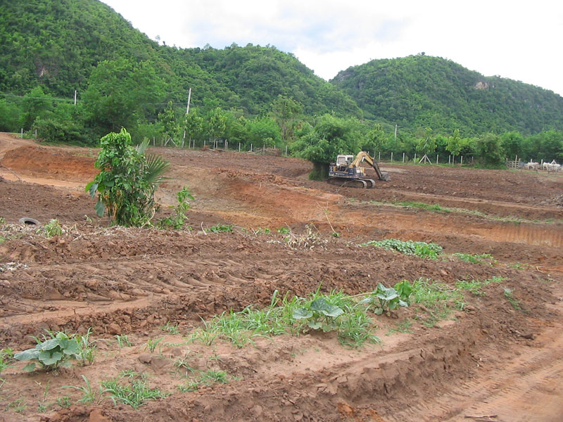 Petchabun Land for Sale