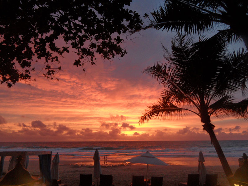 Absolute Beach Front Bar and Restaurant