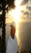 ILLNESS: HEALING & PREVENTION