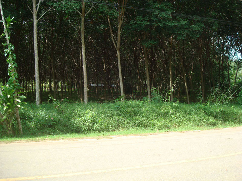 Phuket Land for Sale