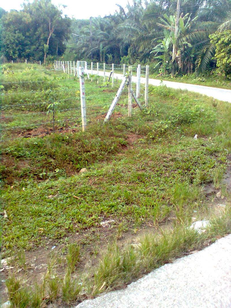 Land for sale in Trang