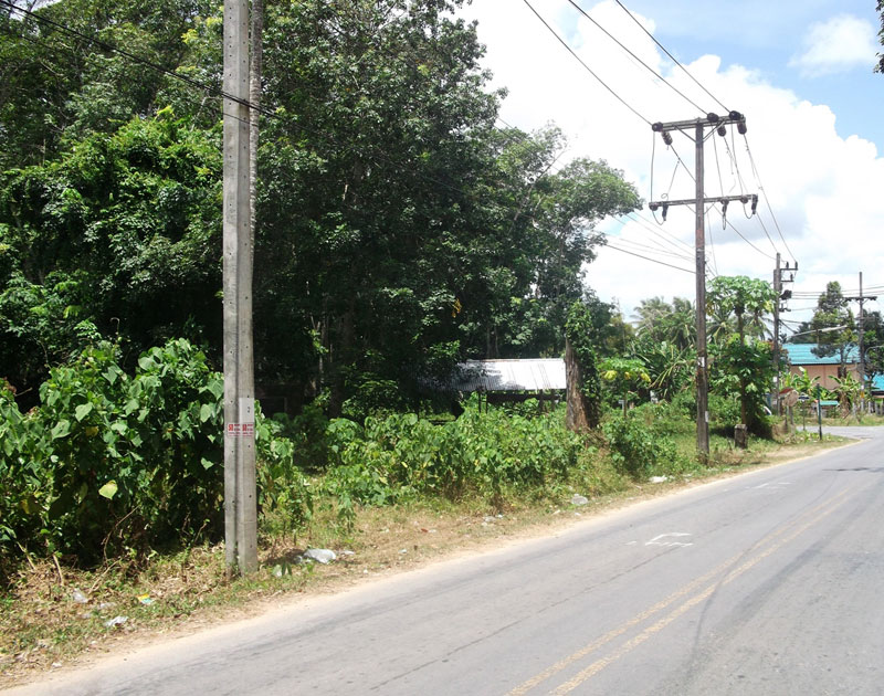 1.5 Rai Chanote Land Cheap