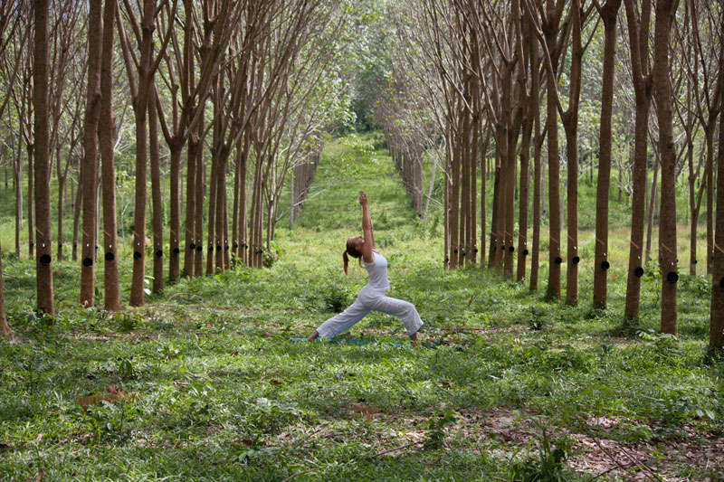 A Mindful Weekend Yoga Retreat