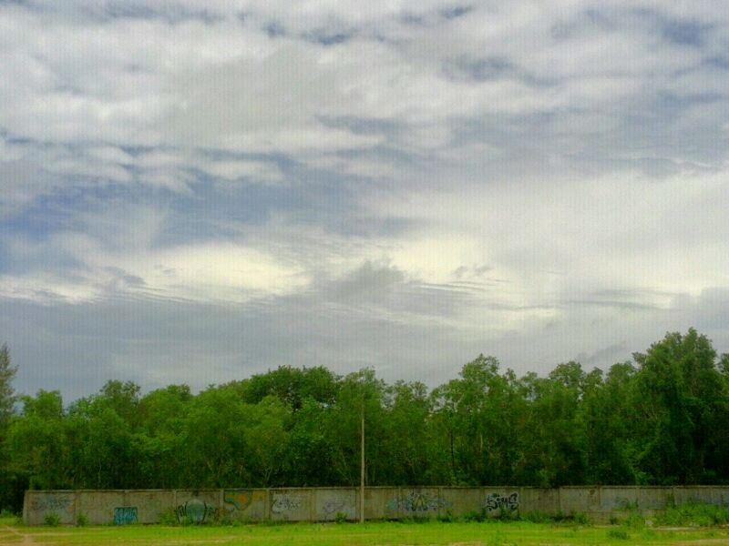URGENT Land for sale