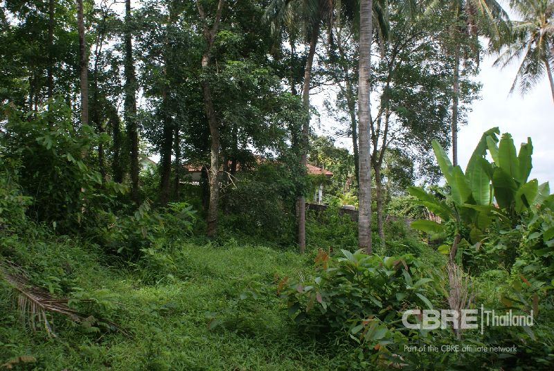 Phuket Land Plot for Sale (L10