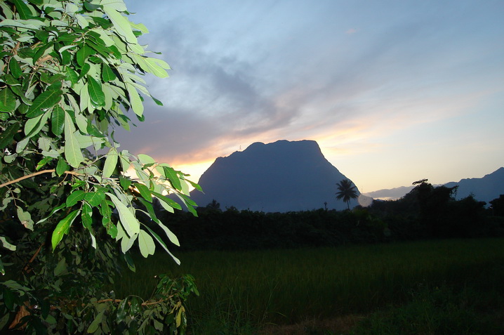 7.3 Rai Chiang Dao Beautiful !