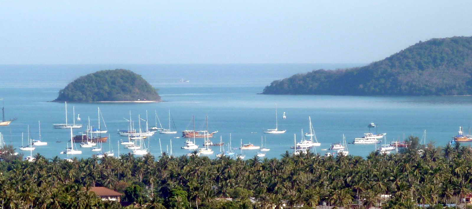 Villa and land for sale