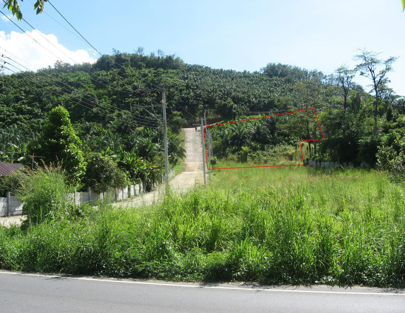 Land Near Mai Khao Beach