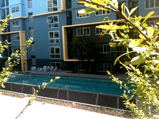NEW CONDO for SALE