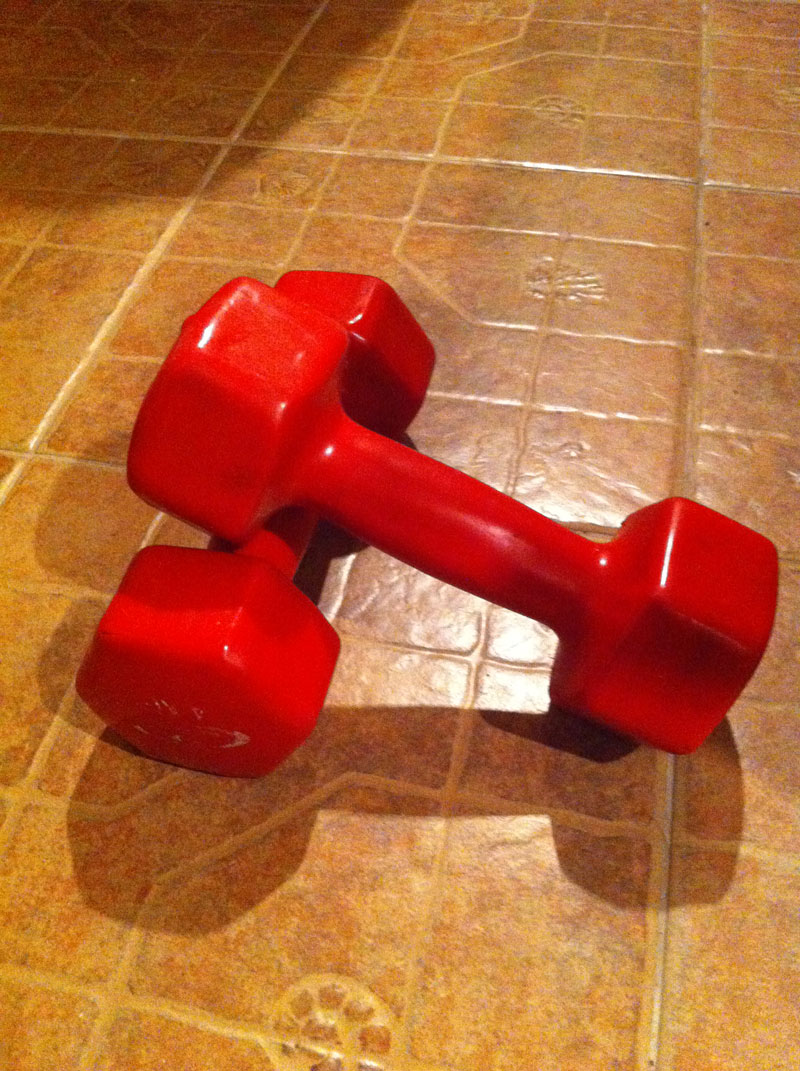 Dumbells / Hand Weights