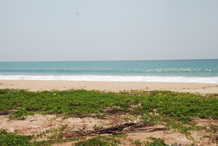 1.1 Rai beach front