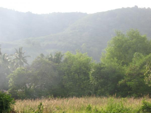 Mountain View Land for Sale