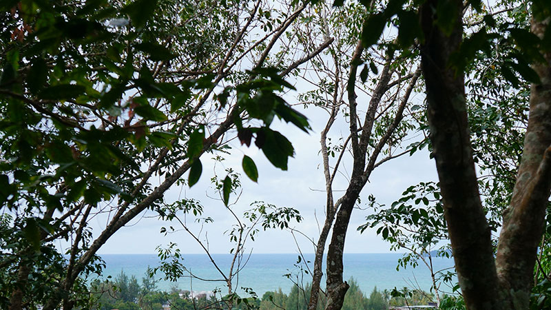 21 Rai Sea View Land Surin