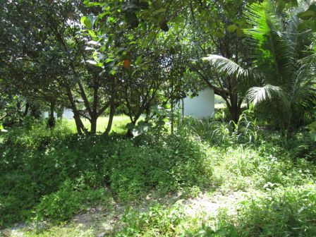 Land for sale