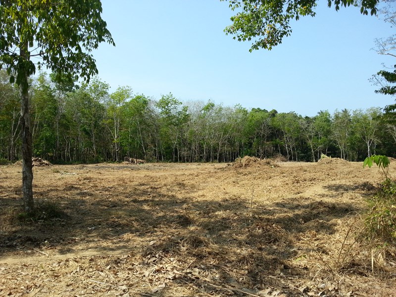 MAI KHAO LAND