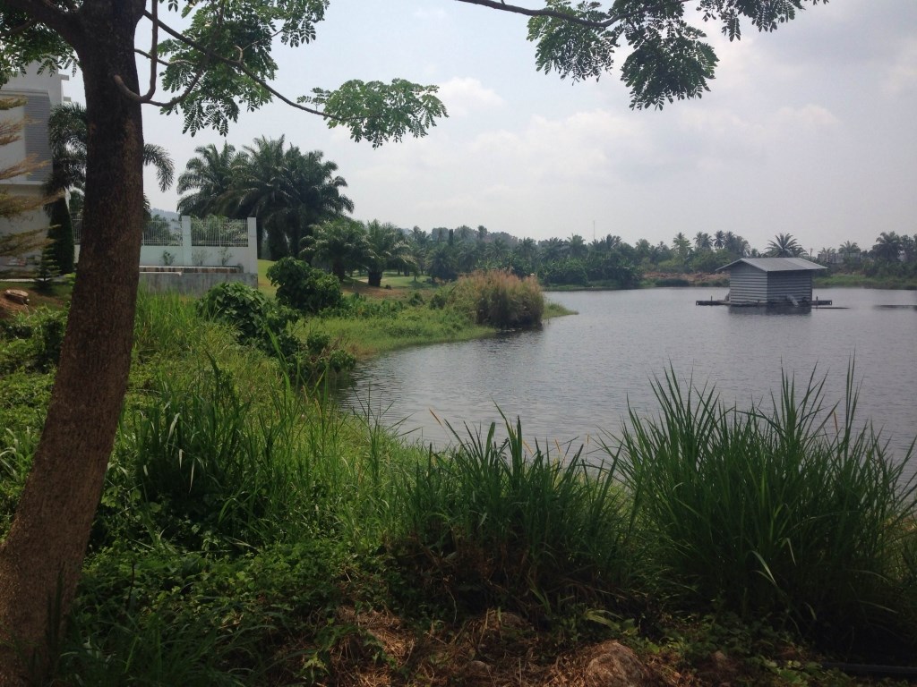 Land for sale - near Loch Palm