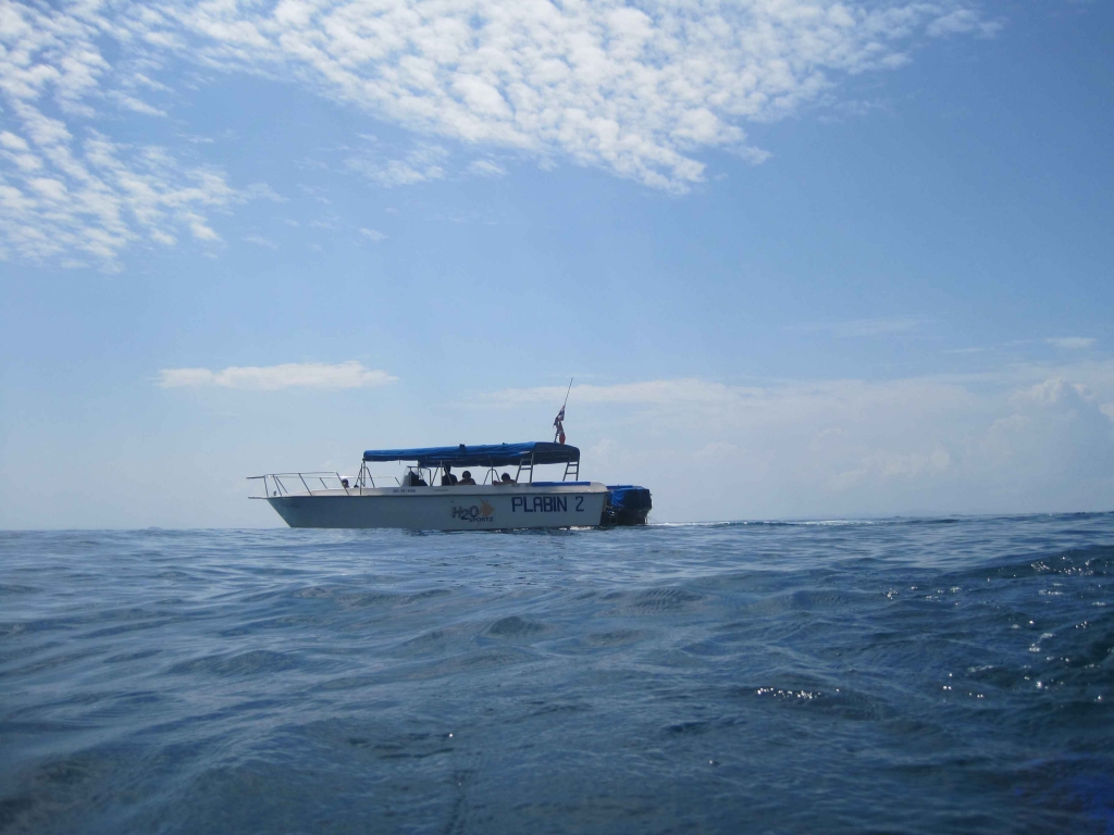 Speed boat  for Sale