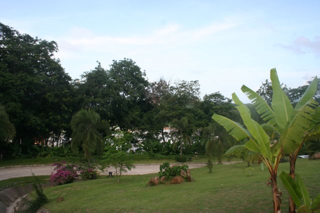Inexpensive land plots / commercial property