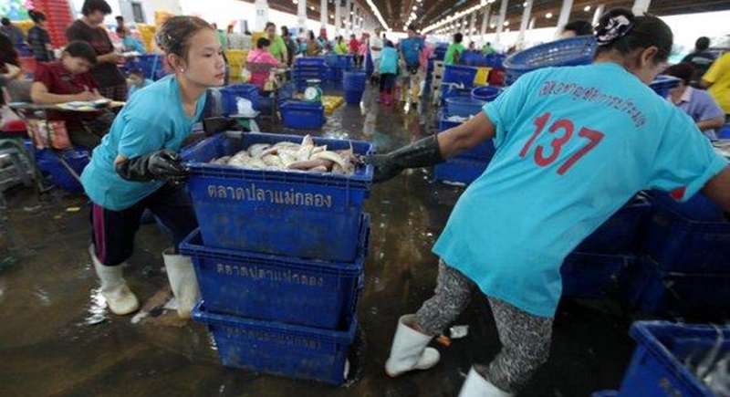 Workers rush to load fish Wednesday at the Mae Klong fish market, Samut Songkhram just before new rules kicked in against unregistered, illegal vessels and fishing equipment. Thousands of illegal fishing boats are staying in port to avoid harsh penalties. (Photos by Chanat Katanyu)