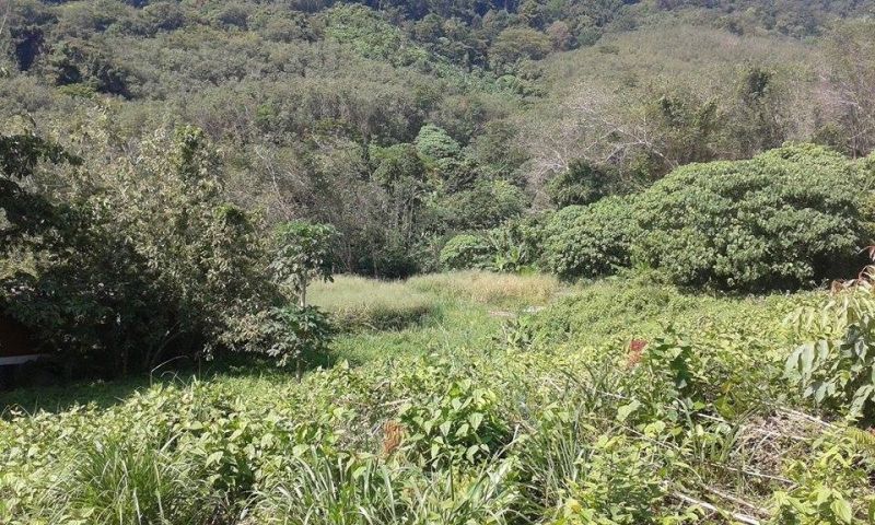 Beautiful Land in Rawai For Sale