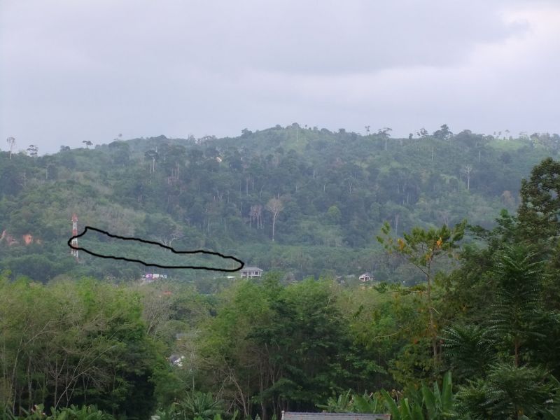 Land for sale in Saku - Phuket