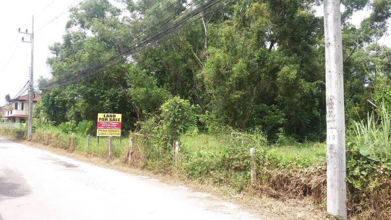 LAND FOR SALE IN RAWAI