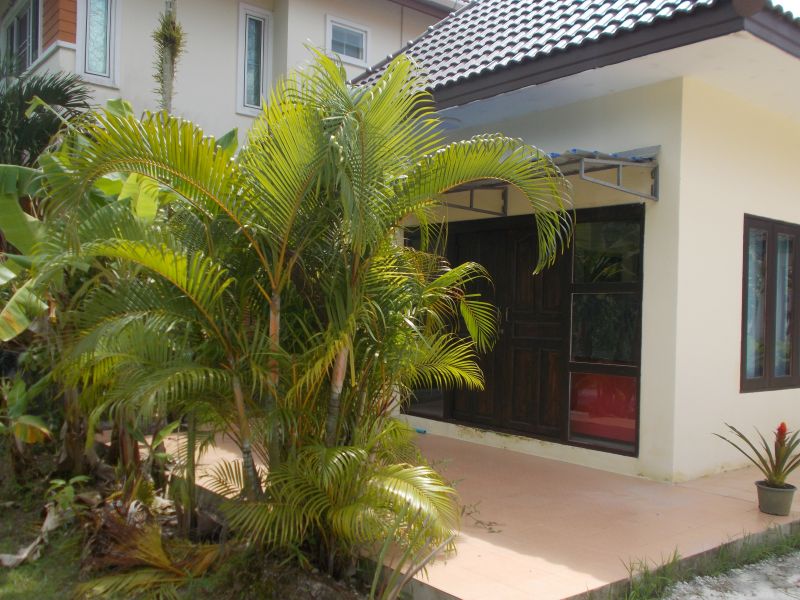 New little house