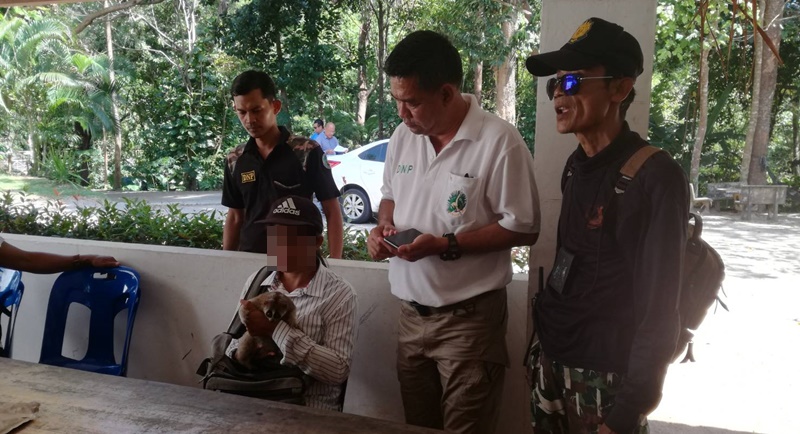 Slow loris tout arrested at Phuket beach
