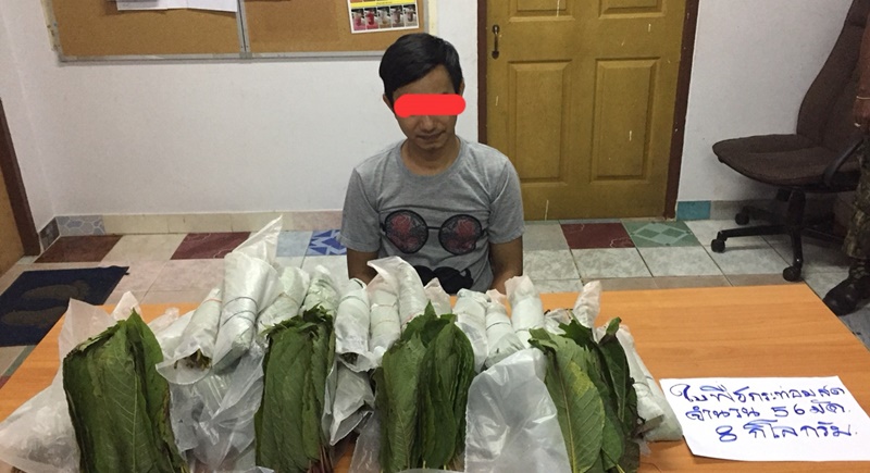 Phuket chef charged with kratom possession