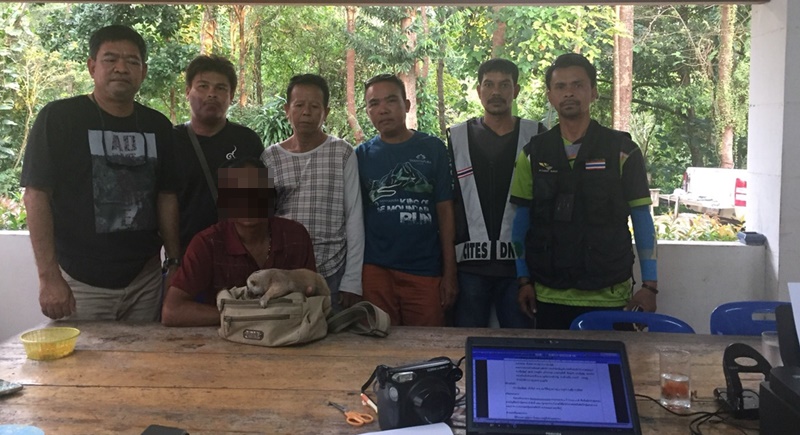 Wildlife officials arrest another Phuket slow loris tout