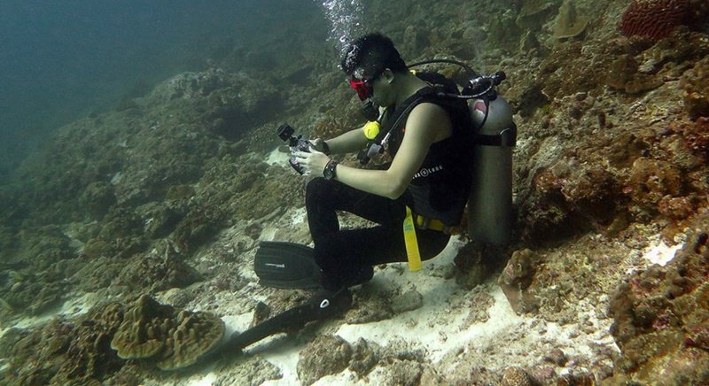 PHUKET XTRA: VIDEO: Seahorse kebabs? Family to sue military! School sex scandal? || January 24