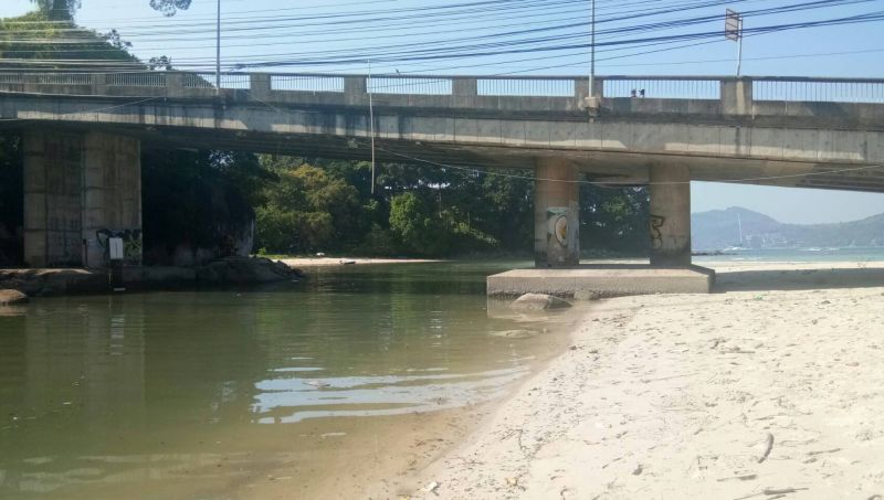 PHUKET XTRA: VIDEO: Sewage leak in Patong! Cyber-gangster nabbed? Fighting cocks sculpture! || February 9