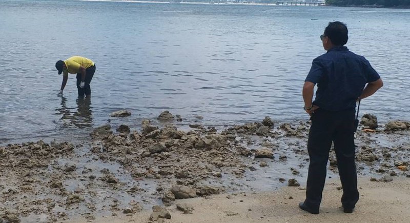 Patong Sewage Crisis Continues. Farang Hanged in Kathu || February 27