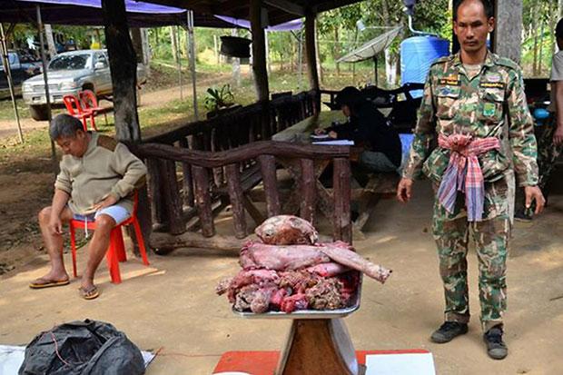 PHUKET XTRA: VIDEO: Three hours to catch King Cobra! Black Leopard soup? Dredging in Rawai! || March 7