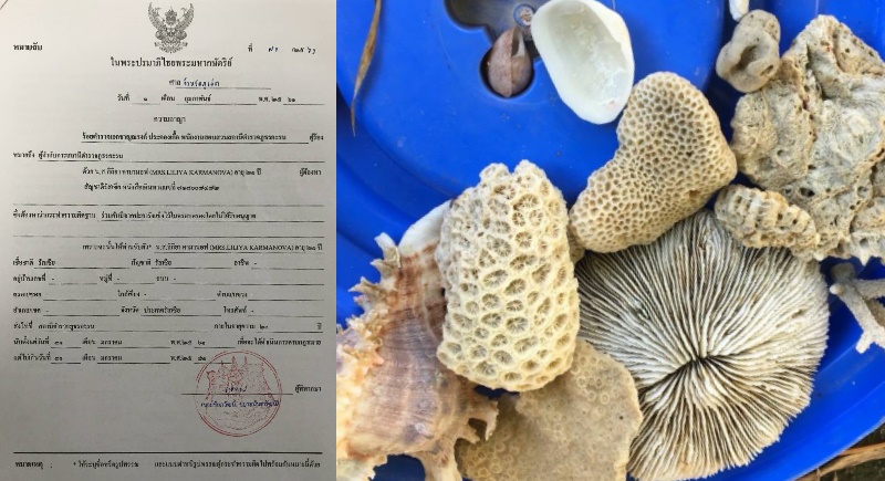 Russian coral bleachers sent home after court fine