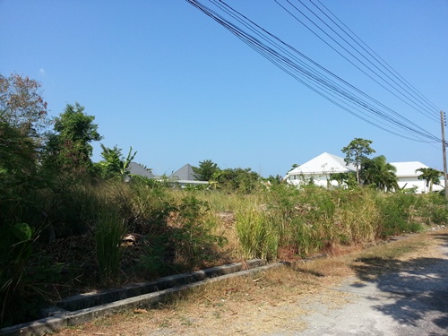 Nai Harn Land Sale