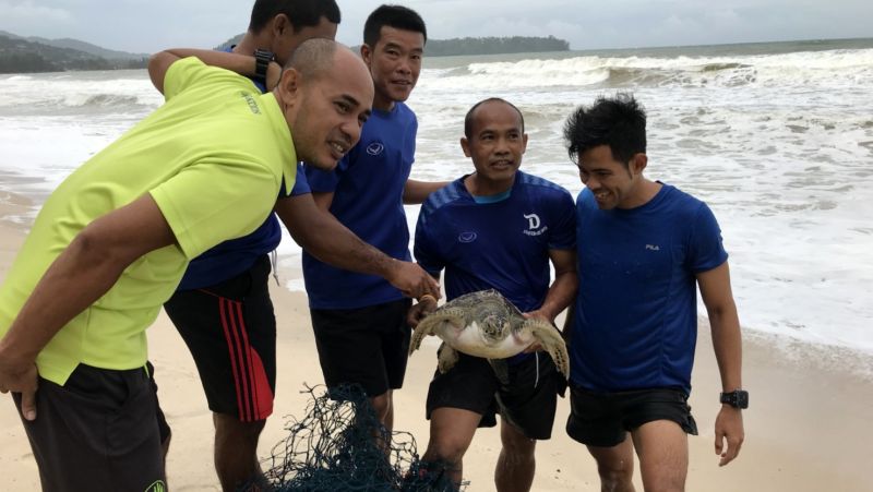 PHUKET XTRA: VIDEO: Motorbike through 7-Eleven! BBQ shootout? Turtles rescued! || June 11