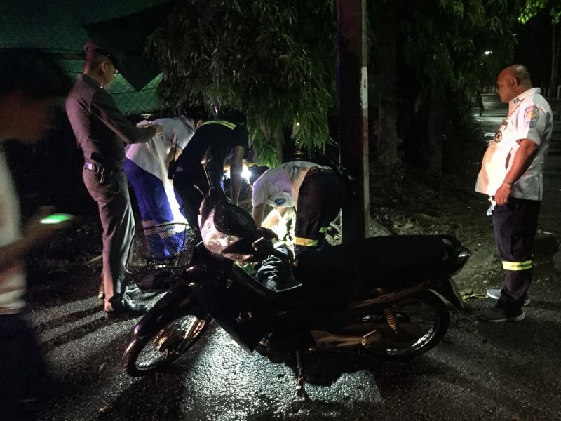 PHUKET XTRA: VIDEO: Silk bicycles! Beaten to death? Mama, baby dolphin stranded! || June 28