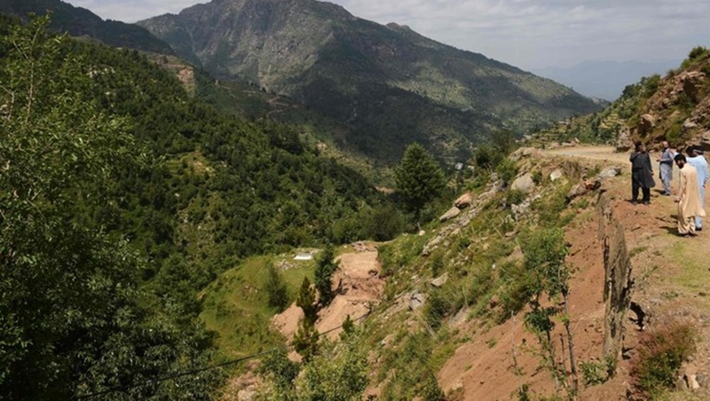 Pakistan goes ‘green gold’ for drastic change