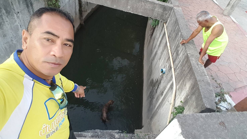 Man’s old dog ‘Chao Mum’ rescued from Chalong canal
