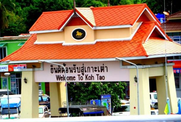PHUKET XTRA: VIDEO: New Work Permit rules! Severed tongue? Baby elephant! || Sept. 3