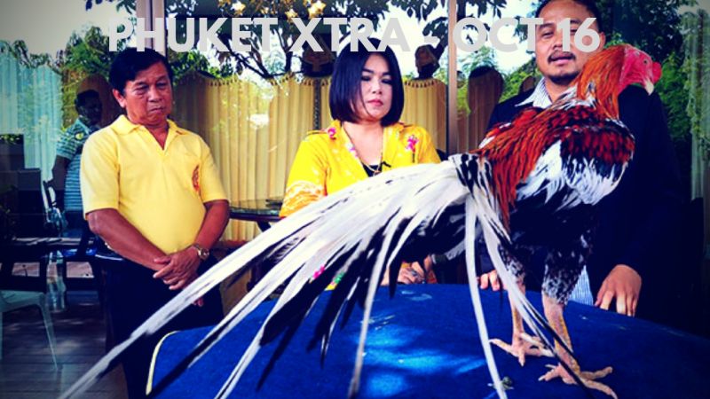 PHUKET XTRA: VIDEO: B20 Mn fighting cock! Similans quota to stay? Fatal plunge! || Oct. 16