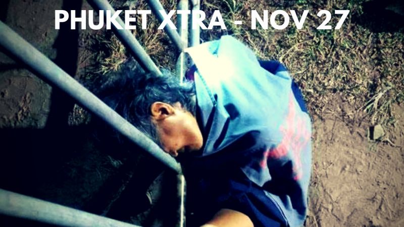 PHUKET XTRA: VIDEO: Wildlife poaching case begins! PM steps in marijuana case? Head gets stuck! || Nov. 27