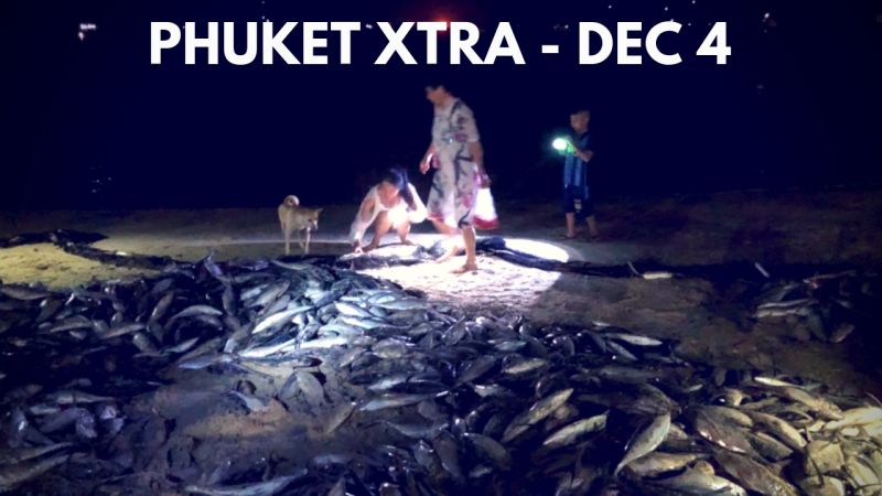 PHUKET XTRA: VIDEO: Freak fish bonanza! Refugee athlete detained? ’No plastic bags’ day! || Dec. 4