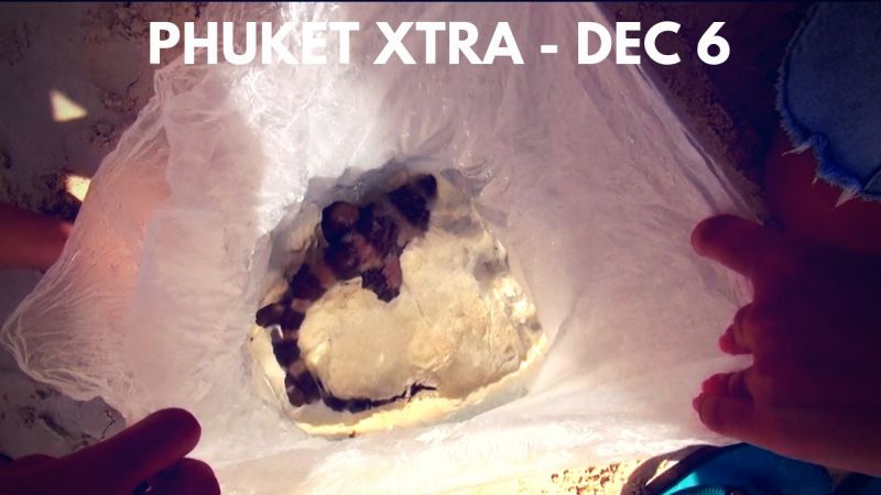 PHUKET XTRA: VIDEO: Bamboo shark release! Dad shoots dad on Father’s Day? For emergencies, call 191 || Dec. 6