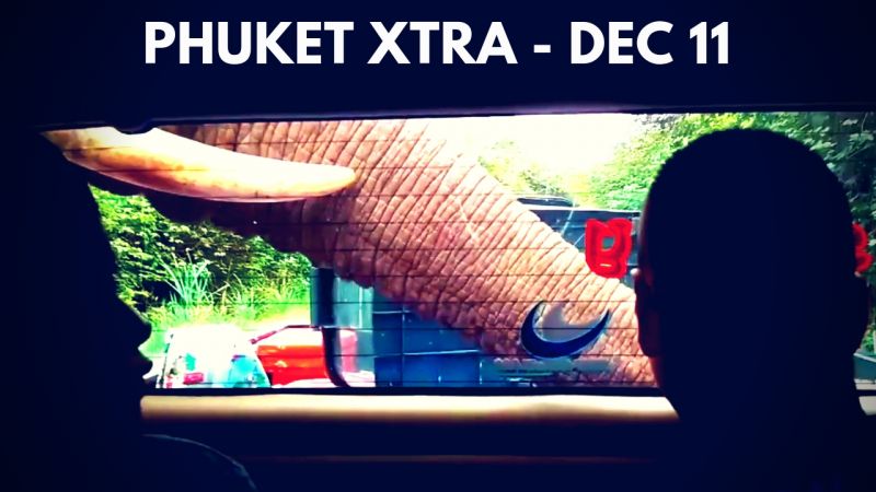 PHUKET XTRA: VIDEO: Elephant goes rogue! 3rd fire in a week? Seven test-takers arrested! || Dec. 11