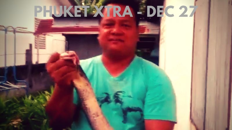 PHUKET XTRA: VIDEO: Bare-handed snake catcher! Beach bombing? Patong New Year’s! || Dec. 27